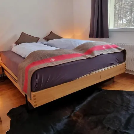 Falke * Saas-Fee
