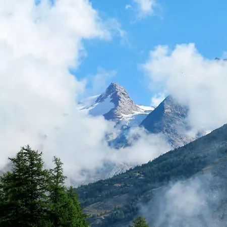Falke * Saas-Fee
